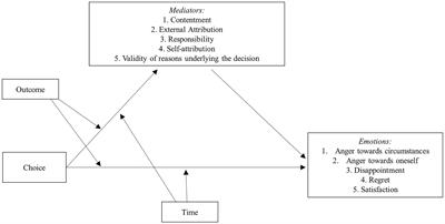 Regret and Other Emotions Related to Decision-Making: Antecedents, Appraisals, and Phenomenological Aspects